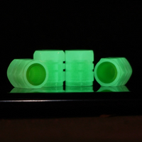 ShineValve® Cubiertas Luminosas para Neumáticos