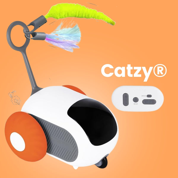 Catzy® Juguete Interactivo Inteligente para Gatos