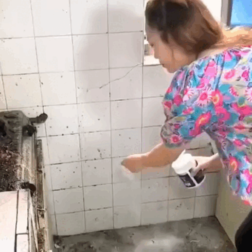 ProClean® Limpiador en Polvo Quita Grasa Multiusos – Homexpress