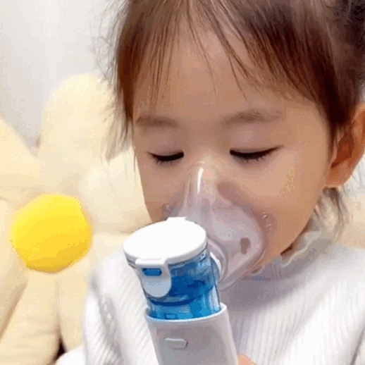 Aeropro® Nebulizador Portátil Silencioso – Homexpress