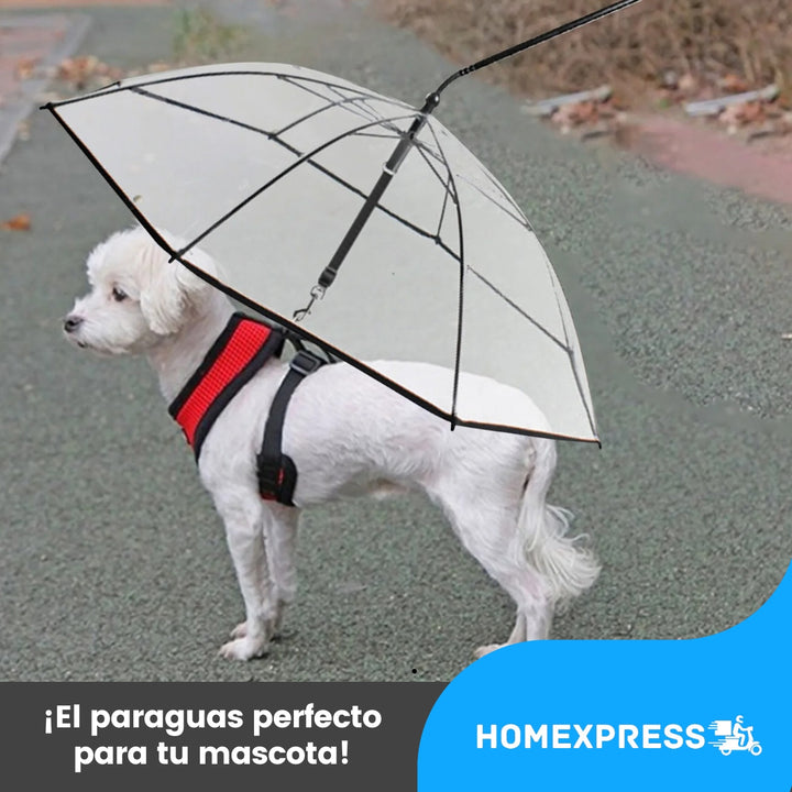 PetDome® Paraguas Transparente con Correa para Perro